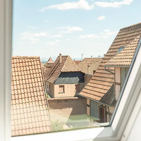 Apartment In Dambach Near Vineyards, Cleaning Included Appartement