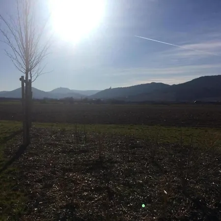 Apartment In Dambach Near Vineyards, Cleaning Included