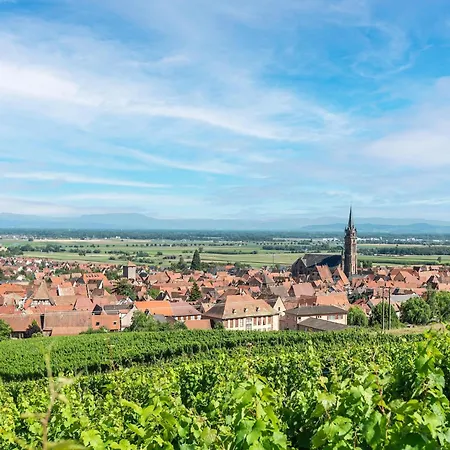 Appartement Apartment In Dambach Near Vineyards, Cleaning Included Dambach