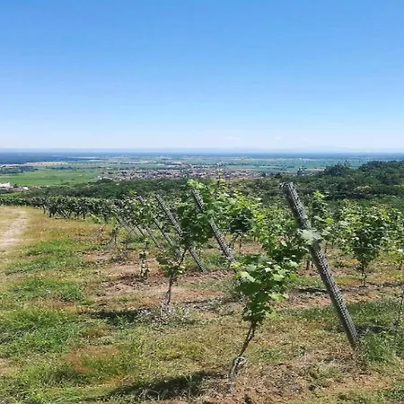 Apartment In Dambach Near Vineyards, Cleaning Included Appartement