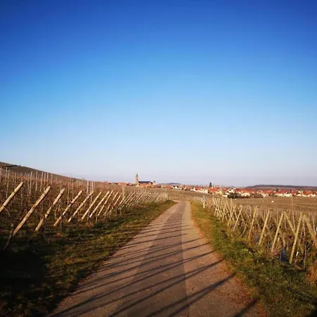 Apartment In Dambach Near Vineyards, Cleaning Included Dambach